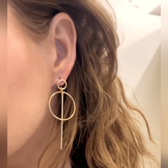 Double Circular Dangle Earrings - Picture 1 of 7
